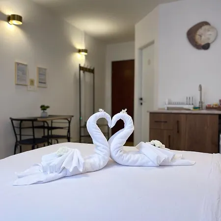 Saray Nest Old Town Daire *